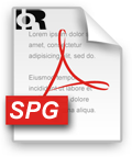 SPG Paper